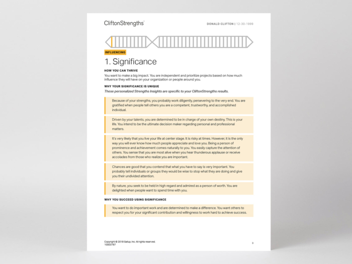 Clifton Strengths 34 Assessment and Report - Image 3